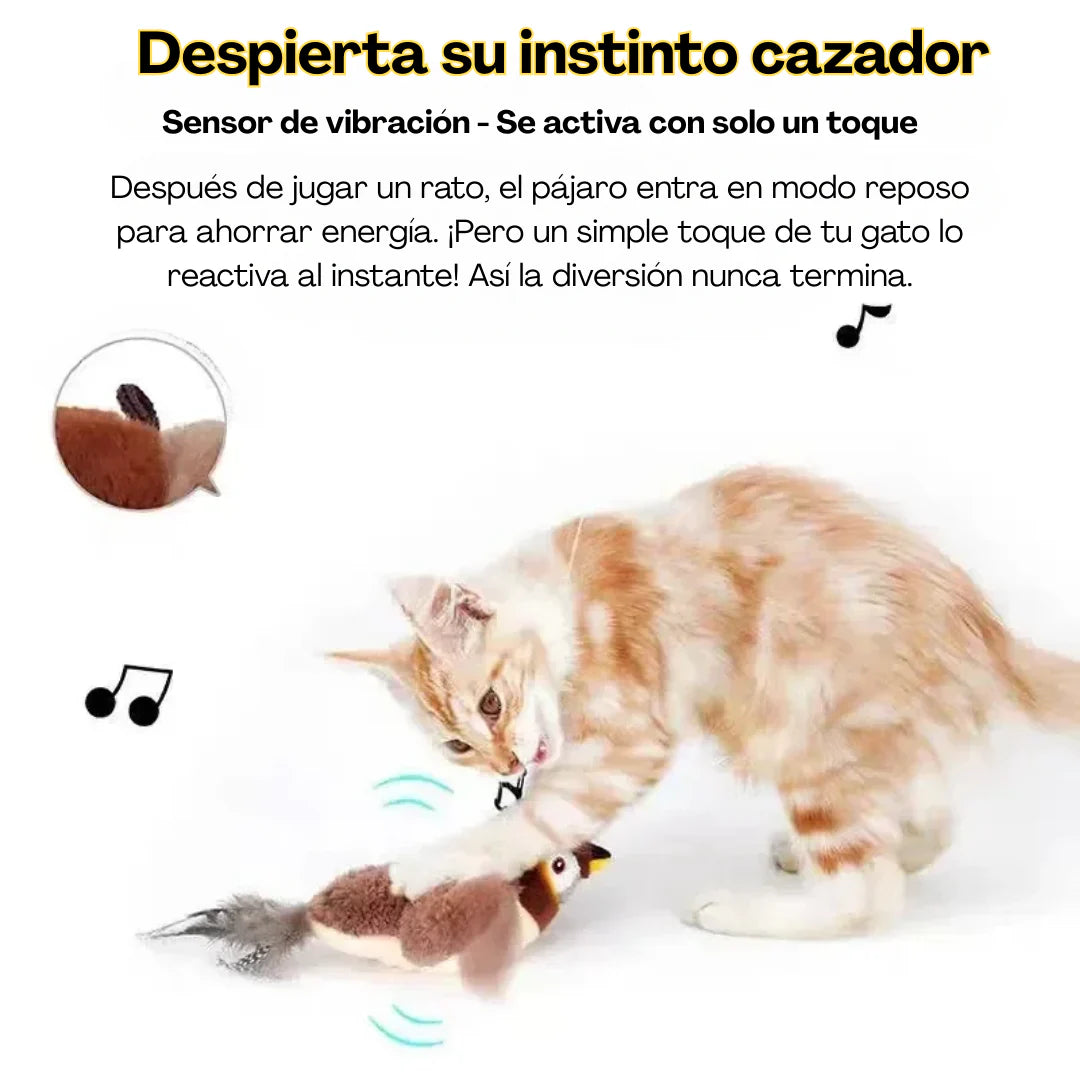 Encabezado